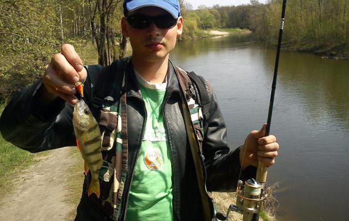 Рыбалка в Сумах и области. Прогноз клева