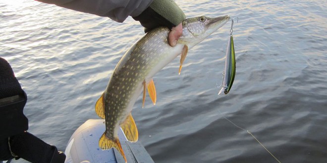 Рыбалка в Тольятти