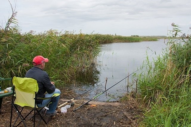 Отчеты о рыбалке, Тольятти: платная, бесплатная, зимняя рыбалка, озера за коровником в селе Ташла, где клюет судак?