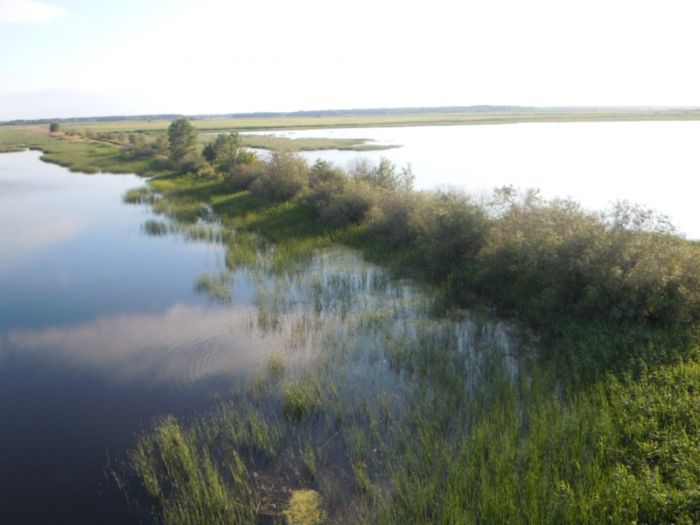 Рыбхоз «Светлоозерский»