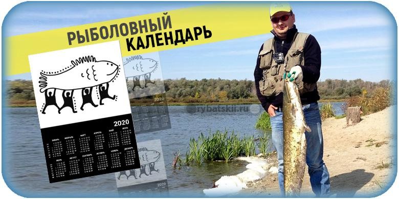 Рыбный календарь клева на 2021 год