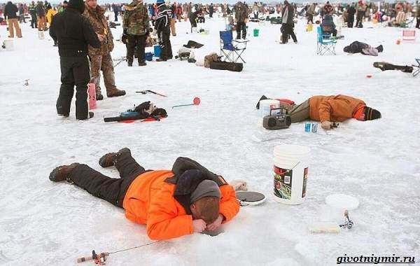 Рыболовный-календарь-особенности-рыбалки-в-декабре-19