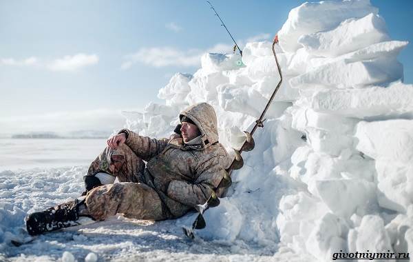 Рыболовный-календарь-особенности-рыбалки-в-декабре-21