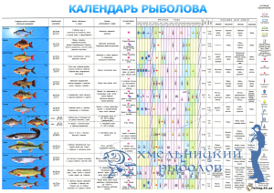 Рыболовный календарь