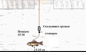 монтаж оснастки жерлицы на щуку