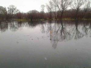 оснастка жерлицы на щуку