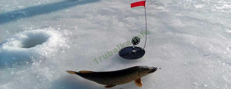 Оснастка жерлицы на щуку