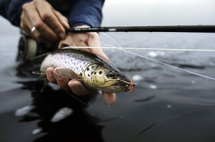 Рыболовный тур на реках Варзуга и Кица