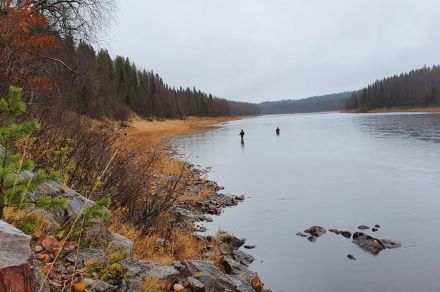 Рыболовный тур на реках Варзуга и Кица