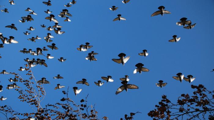 русские приметы и суеверия