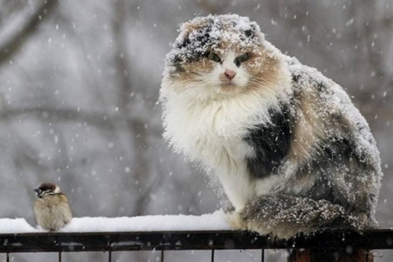 Самые точные народные приметы на сегодня о погоде