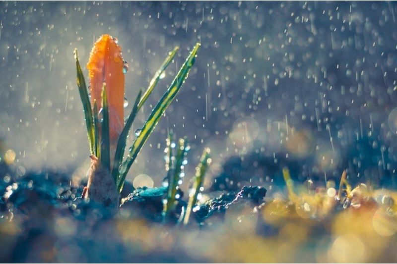 Самые точные народные приметы на сегодня о погоде