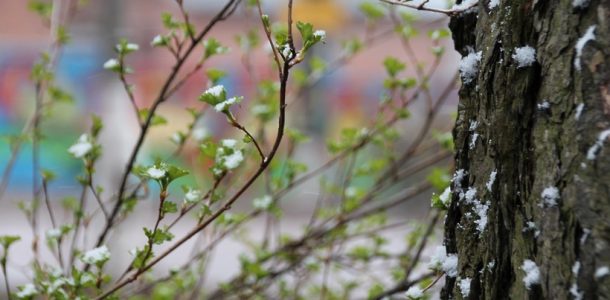 Температура в апреле. Народные приметы о погоде в апреле