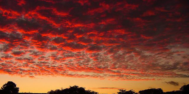 народные приметы которые помогают предсказать погоду