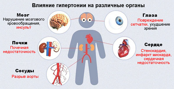 влияние гипертонии на различные органы