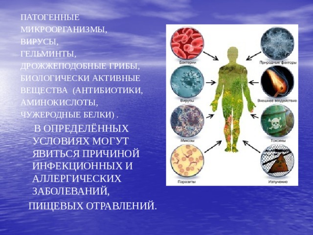 Патогенные микроорганизмы, вирусы, гельминты, дрожжеподобные грибы, биологически активные Вещества (антибиотики, аминокислоты, чужеродные белки) . В определённых условиях могут явиться причиной инфекционных и аллергических заболеваний, пищевых отравлений.