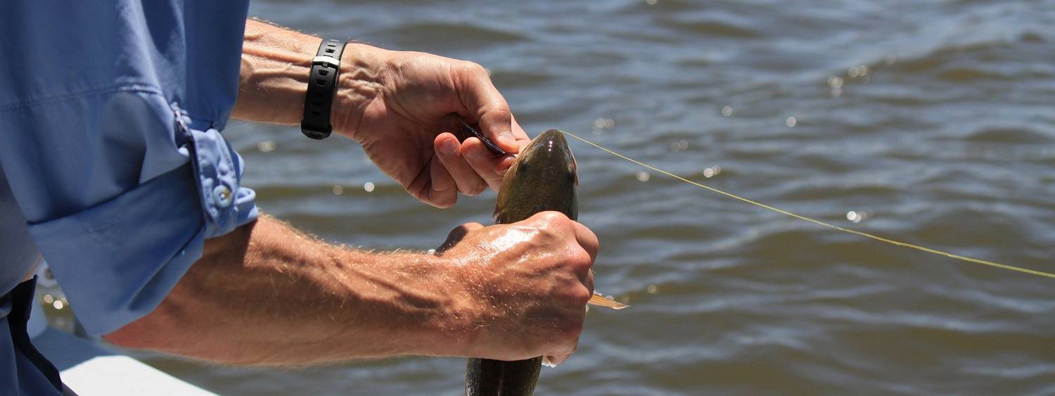 fishing-1015762_1920