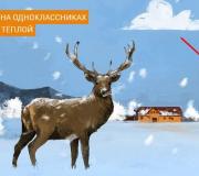 Что делать, если одноклассник ребенка &laquo;псих&raquo;?