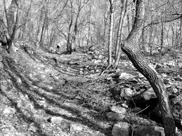 Хорошие и плохие приметы