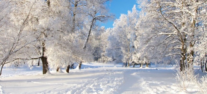 Заговоры и приметы на 2 декабря 2019 года. Авдей-радетель