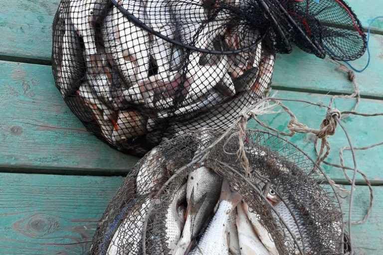 Отзыв о базе "Рыбоход" от Алексея из Тольятти