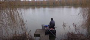 Фидер осенью