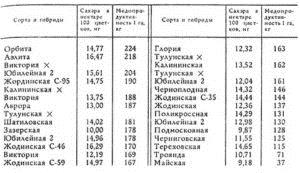 Гречиха как медонос: характеристика, при какой температуре выделяет нектар, сколько цветёт гречка для медосбора, сколько килограмм с