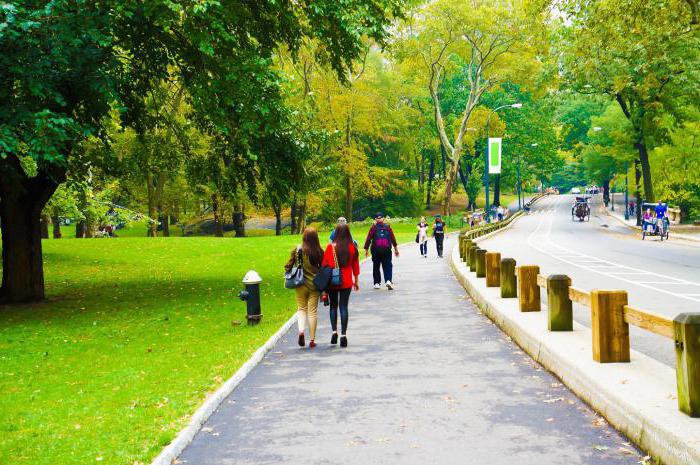 как климат влияет на людей