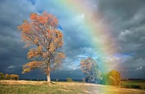 Народные приметы и знаки на октябрь месяц