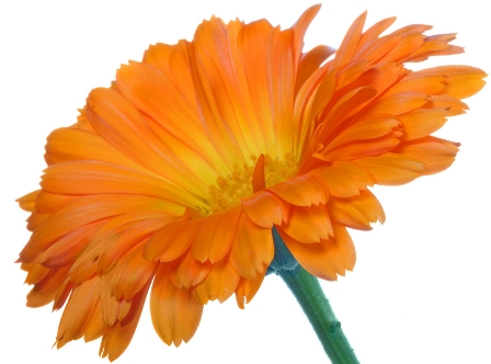 как определить погоду по приметам