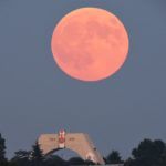 народные приметы для определения погоды ворона купается