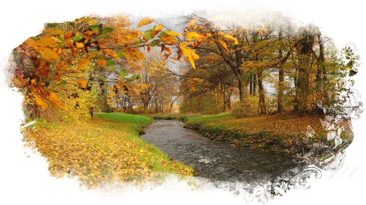 Какой будет осень, погода осенью в России 2021