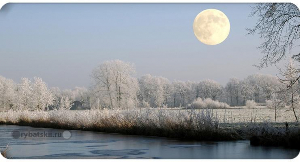 В какую погоду лучше клюёт щука зимой и при каком давлении