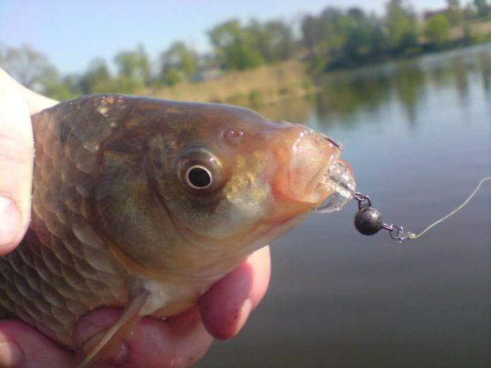 рыбалка на карася миниатюра