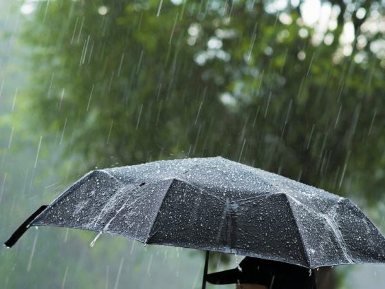 Кваканье лягушек предвещает дождь