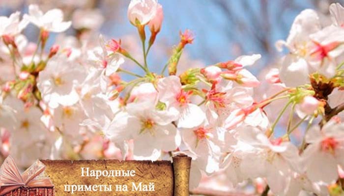 роспись в мае 2021 прогнозы и приметы