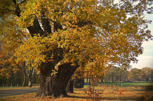 Народные приметы октября по дням – погода, природа, праздники