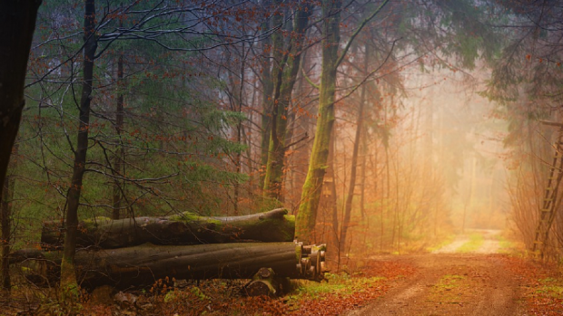 Народные приметы октября по дням – погода, природа, праздники