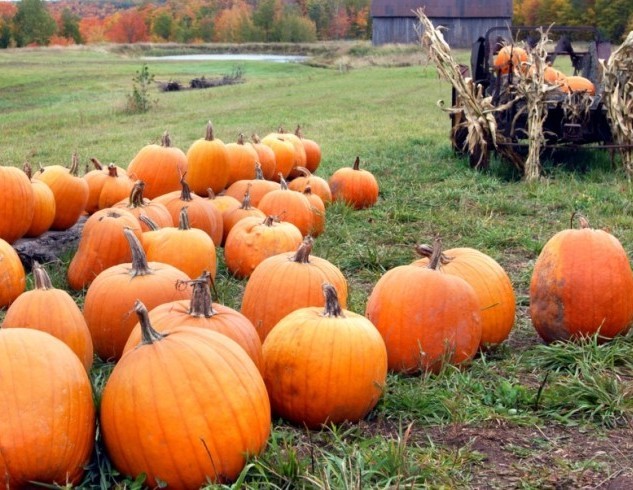 Народные приметы октября по дням – погода, природа, праздники