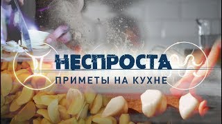 Предсказание погоды по народным приметам: пословицы и поговорки