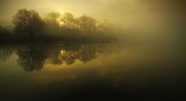 Народные приметы о погоде в мире растений