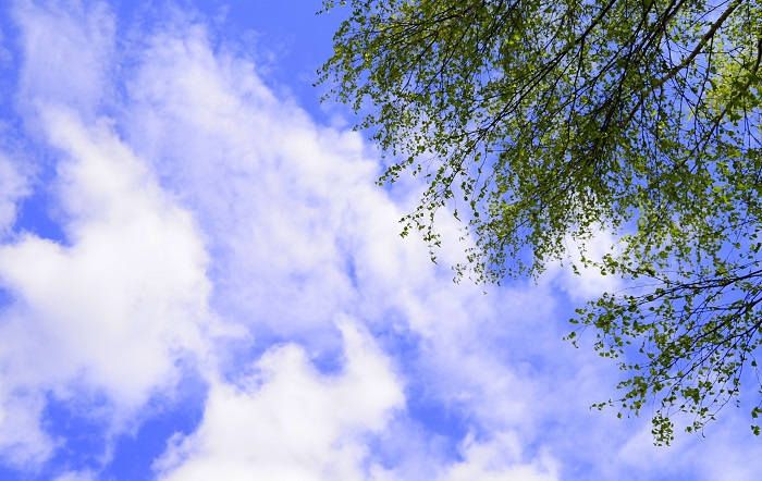 Приметы к летнему теплу