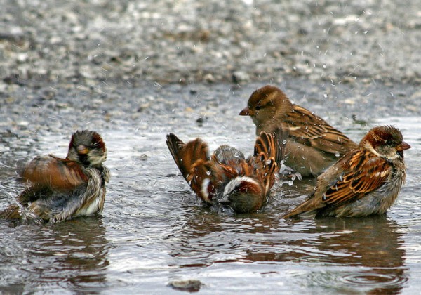 Народные приметы о погоде