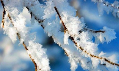 Февральская погода