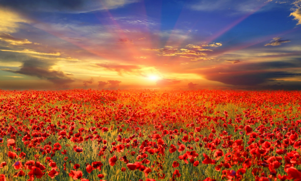 восход с красными лучами