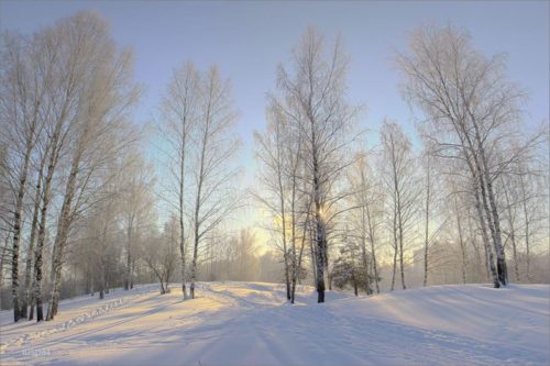 Ясная погода в январе
