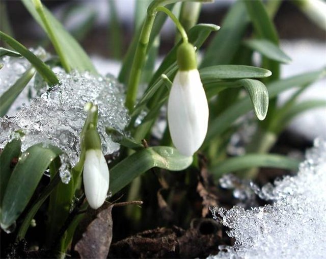 Народный календарь на апрель