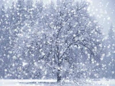 снег перед оттепелью