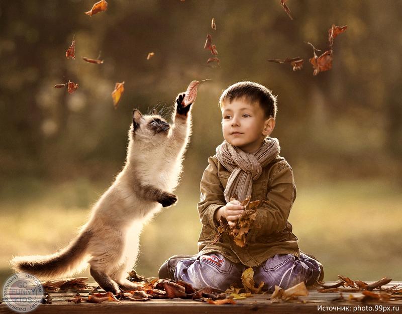 kartinka pro osen', prikol'nye osennie kartinki, kartinki khoroshego osennego nastroeniya, osennie detskie kartinki, deti osen'yu foto, fotosessiya osen' deti foto, zolotaya osen', prikol'nye smeshnye rzhachnye kartinki pro osen', zabavnye deti