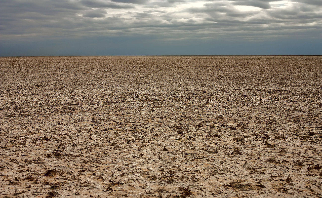 Отдых в Должанской на Азовском море